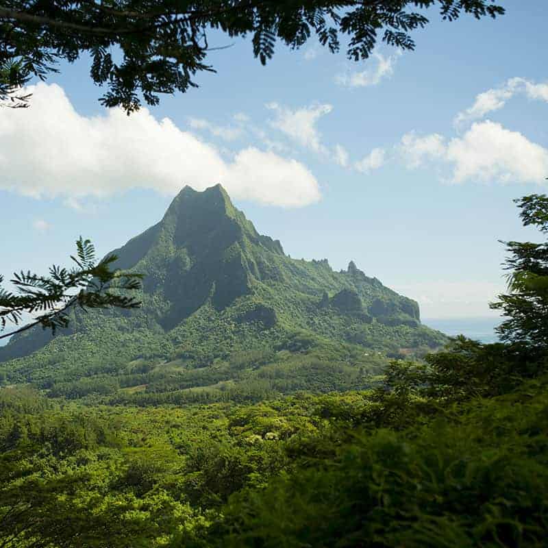 Hiking to the Belvedere lookout in Moorea with panoramic bay views